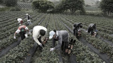 Ley 135: 60 años del paradigma de la eficiencia en el campo Ley 135: 60 años del paradigma de la eficiencia en el campo