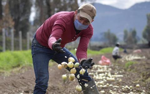 Campo con p de pueblo, de pluralidad y de paz Campo con p de pueblo, de pluralidad y de paz