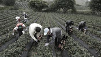 Ley 135: 60 años del paradigma de la eficiencia en el campo