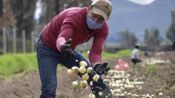 Campo con p de pueblo, de pluralidad y de paz