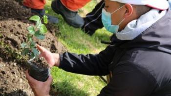 72 iniciativas ambientales se suben al tejido ambiental del territorio de Suba 